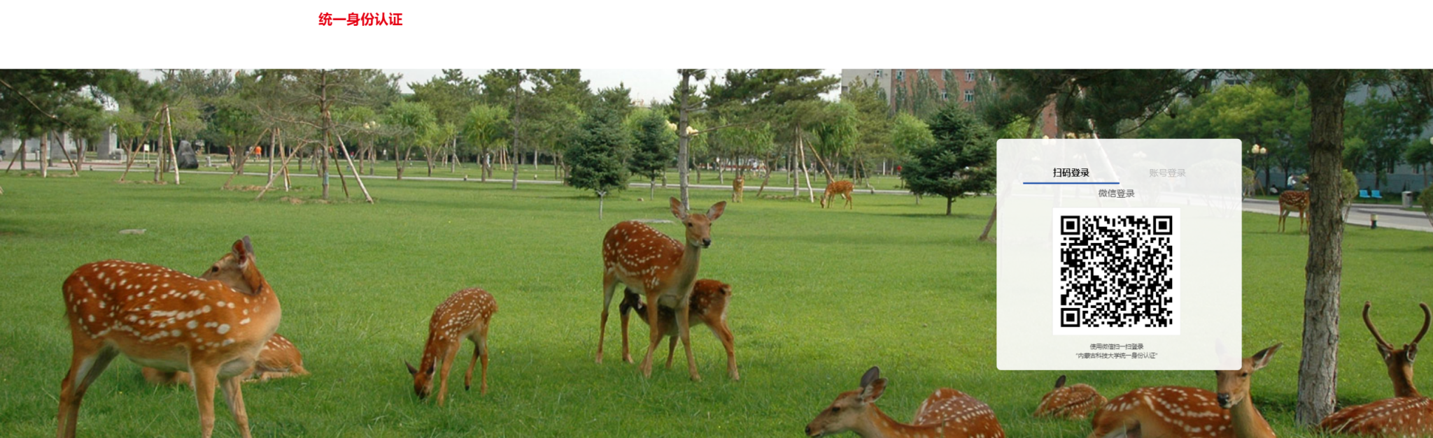 金牌投注娱乐城官网