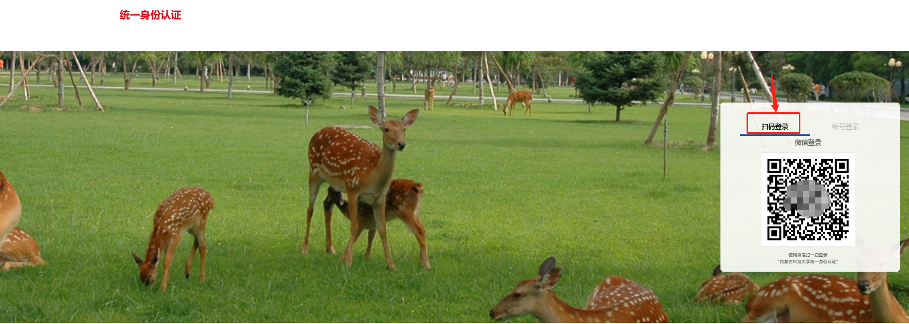 金牌投注娱乐城官网