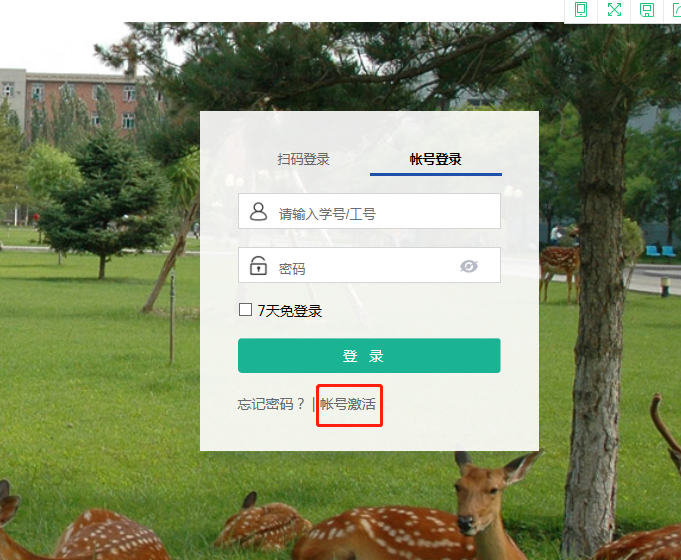 金牌投注娱乐城官网