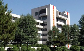 金牌投注娱乐城官网